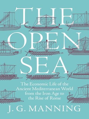 cover image of The Open Sea